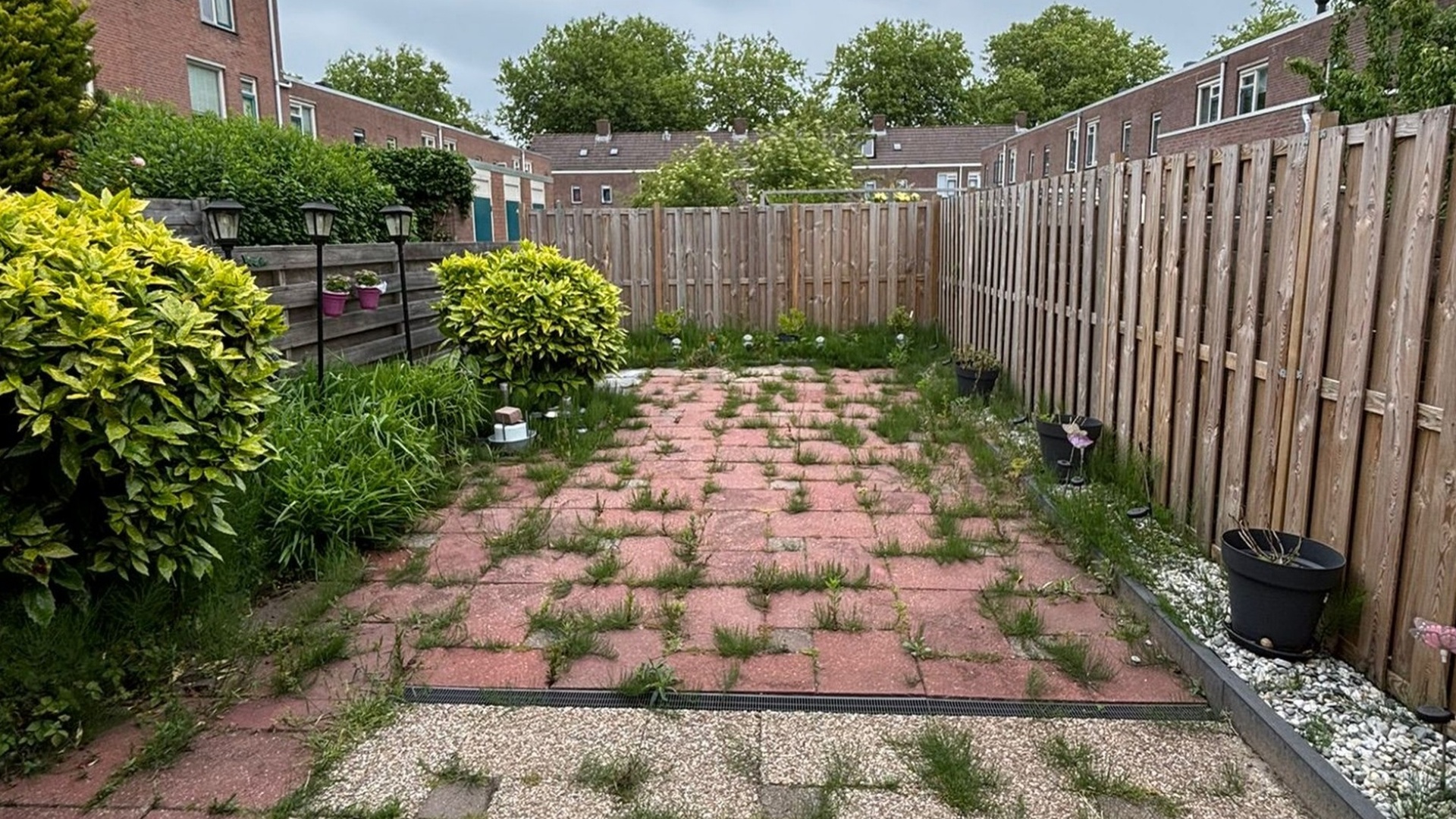 Tuin na onderhoud